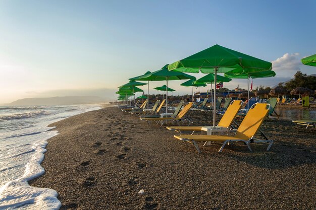 Espreguiçadeiras de praia sob guarda-chuvas verdes no espaço da cópia do céu azul claro à beira-mar