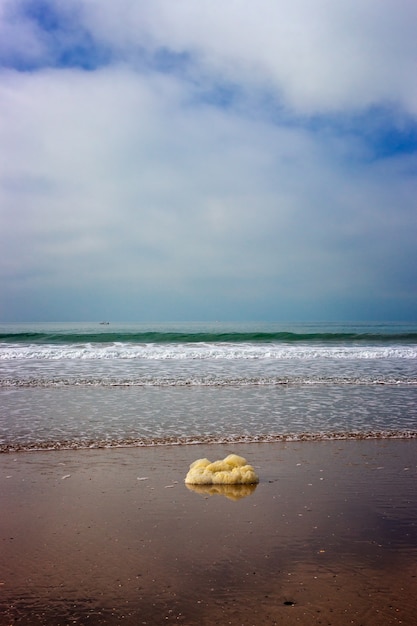 Foto espuma do mar na costa da praia