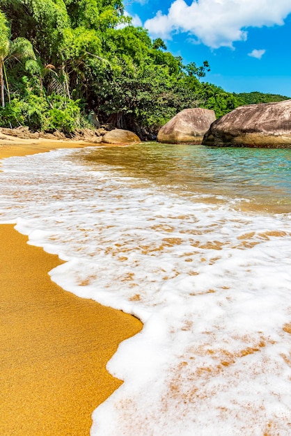 Foto la espuma del mar sobre la arena en la playa rodeada de selva tropical en ilha grande río de janeiro