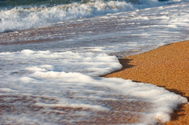 Espuma de surf en la arena de la costa