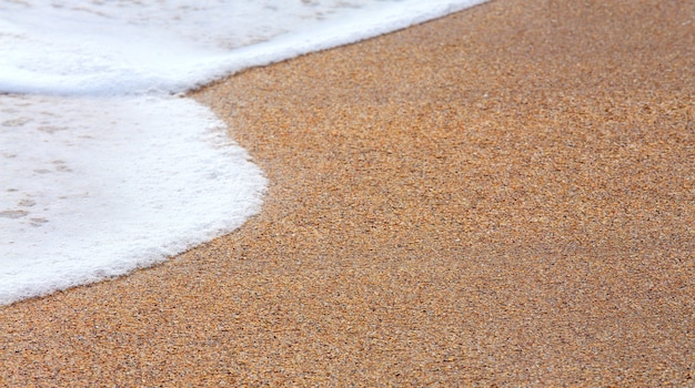 Espuma de surf en la arena de la costa