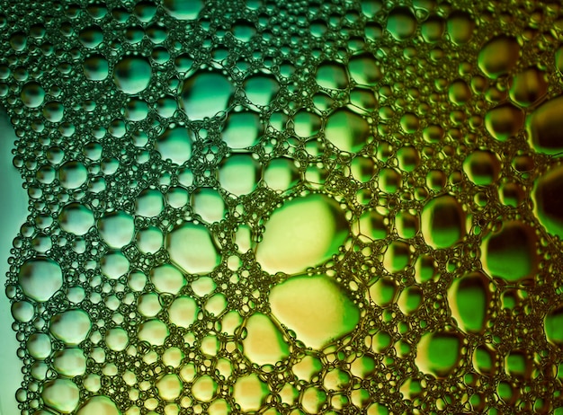 Espuma de textura de burbuja verde Fondo abstracto y textura de burbujas verdes