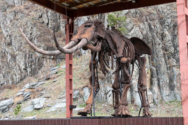 Esqueleto antigo de um animal pré-histórico se posiciona contra o fundo da natureza e das montanhas
