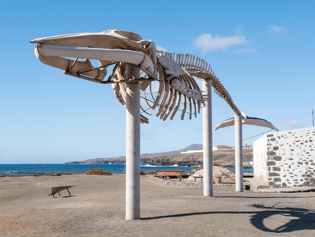 Esqueleto de baleia em Salinas del Carmen, Fuerteventura, Ilhas Canárias