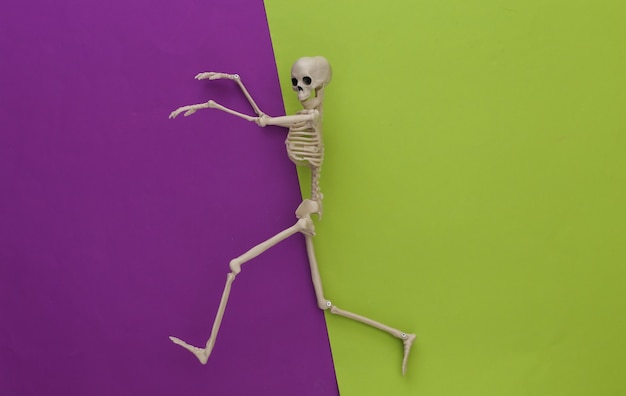 Esqueleto em papel roxo verde. decoração de halloween, tema assustador