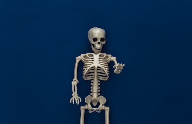 Esqueleto falso no clássico azul escuro. Decoração de Halloween, tema assustador