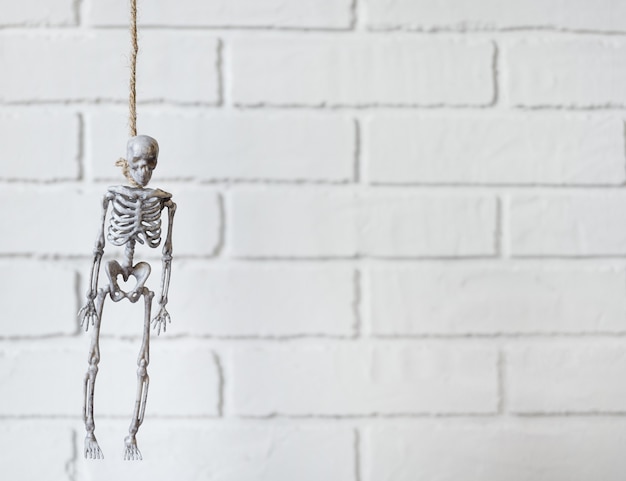 Foto esqueleto foi pendurado em uma corda. conceito de terror de halloween.