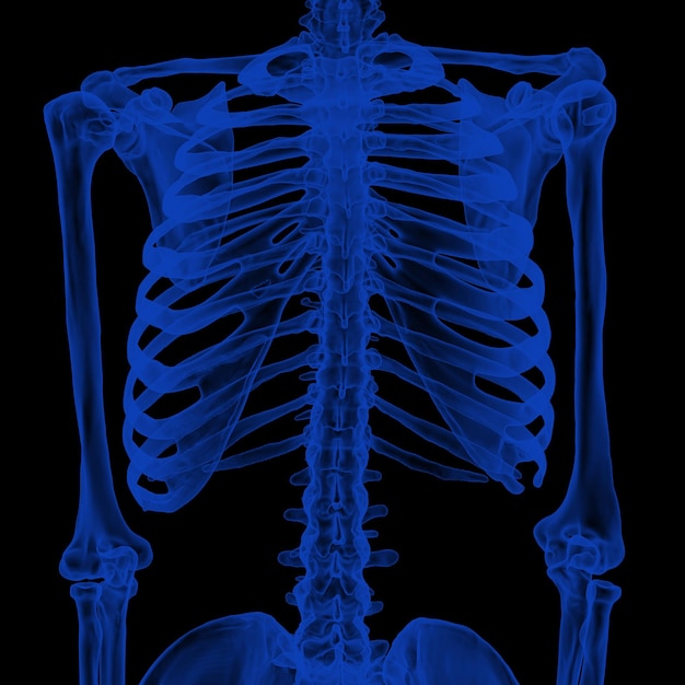 esqueleto humano de raio X em preto