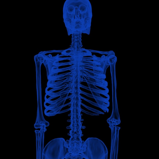 esqueleto humano de rayos x en negro
