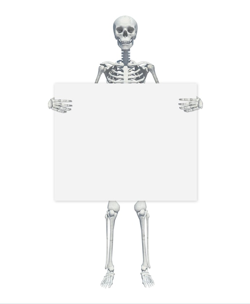 Un esqueleto de pie casualmente y sosteniendo un letrero en un fondo blanco puede usarse como fondo de Halloween