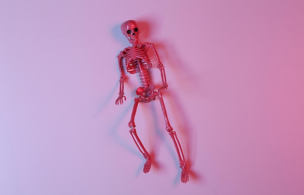 Esqueleto rosa em luz de gradiente rosa azul neon Minimalismo