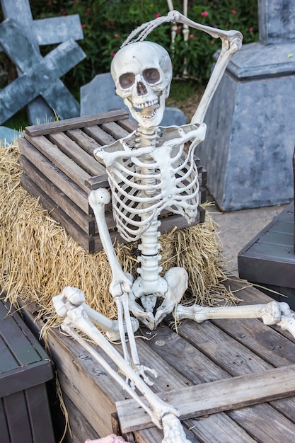 Esqueleto sentarse en la caja y esperar