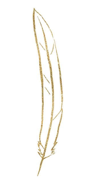 Esquema de plumas doradas bohemias ilustración aislada elemento natural para papelería de boda