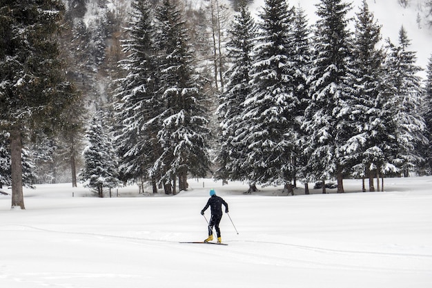 Esquí de fondo en los alpes