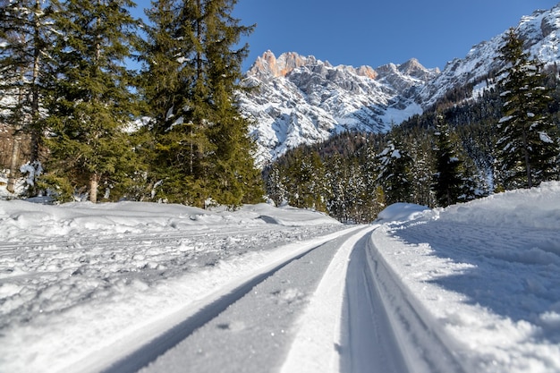 Esquí de fondo en Austria Hinterthal Slope polvo blanco fresco nieve y montañas fondo borroso