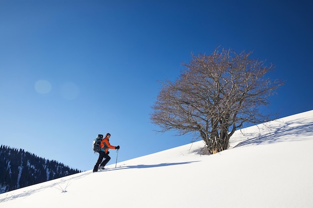 Esquí de travesía en la nieve en polvo fresca