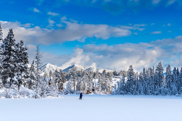 Esquiadores cross country em um lago recém-congelado de lillian perto de invermere bc canadá