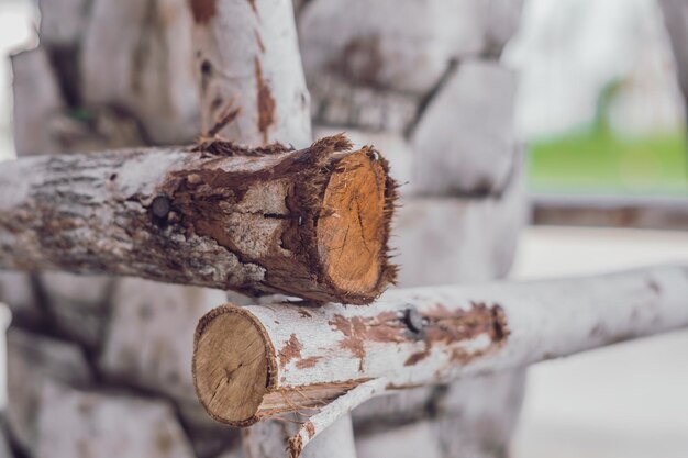 Esquina de cerca de madera Bloque de filas tronco de árbol delgado con rasguños serifas Línea de grieta de madera dura capa exterior de tallo de superficie de tejido de corteza de hoja caduca Textura fondo abstracto claro Más tono en stock