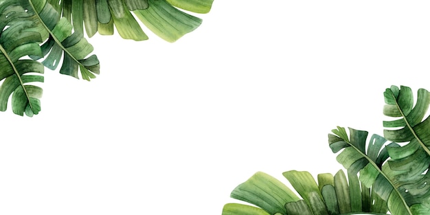 Esquinas hojas tropicales banner horizontal acuarela plantilla con palmera Selva diseño realista