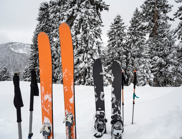 Esquís de montaña, splitboard y bastones en la nieve. Equipo de esquí de travesía
