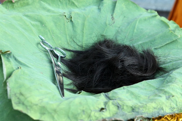 Essa foto é cabelo preto.