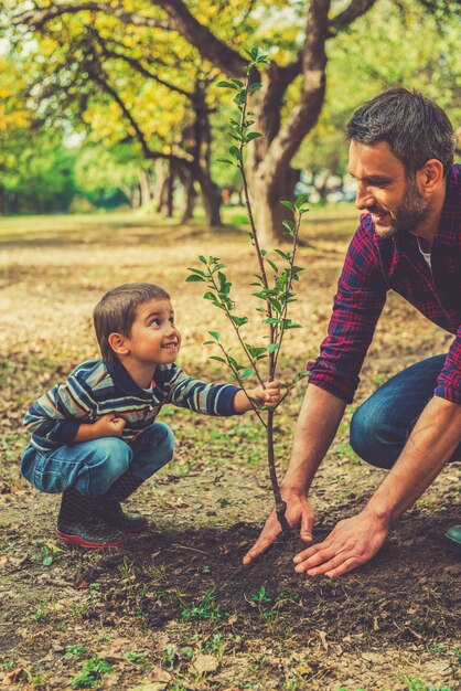 Esta árvore vai crescer com você! Menino brincalhão ajudando o pai a plantar a árvore enquanto trabalham juntos no jardim