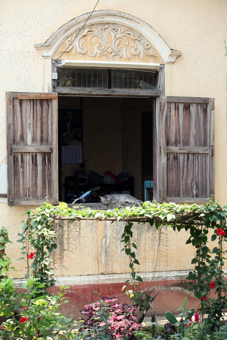 Esta casa tem janelas antigas.
