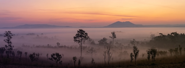 Foto esta é a foto da montanha pidsanulok tailândia pela manhã durante o nascer do sol com névoa e nevoeiro cordilheira e árvores sihoulette.