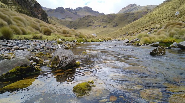 Esta é uma bela imagem de paisagem de um rio de montanha a água é cristalina e você pode ver as rochas e seixos no fundo do rio