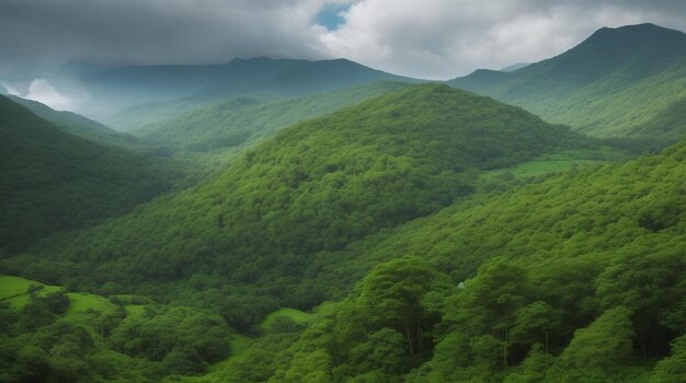 Esta Floresta Mística