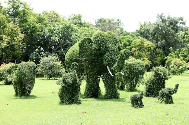 Esta imagem é um elefante feito de árvores.