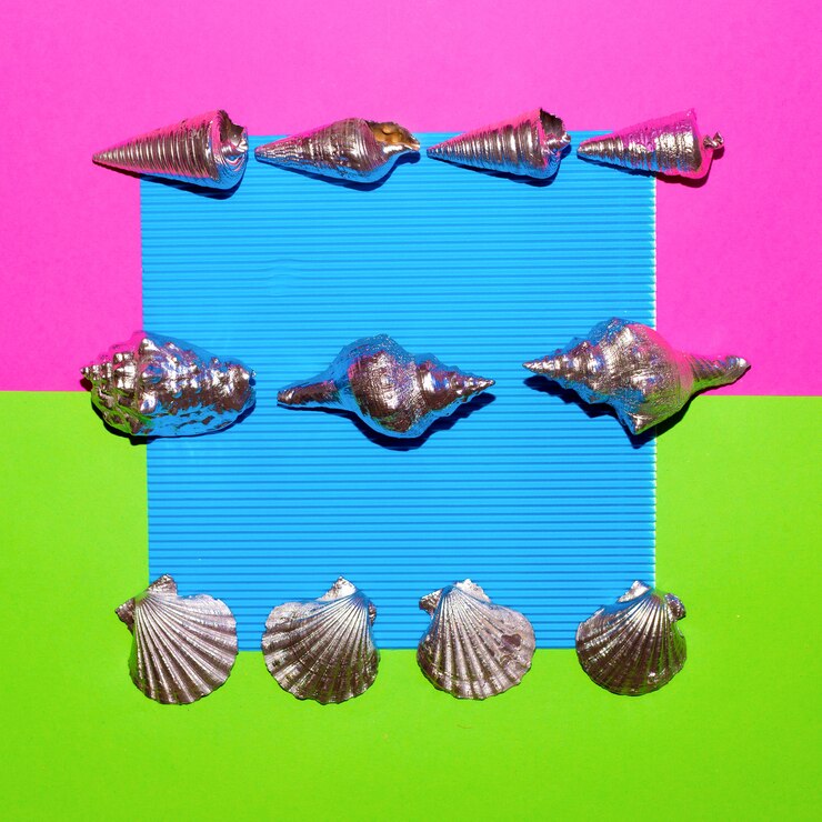 Foto establecer conchas de plata. ocean vibes minimal art