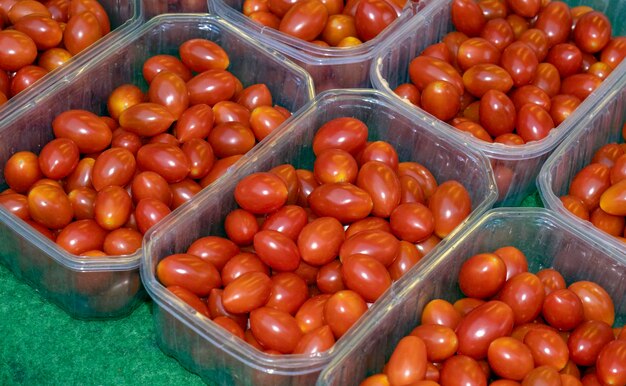 Establecer fondo de tomate rojo cereza invernadero vegetal holandés calle