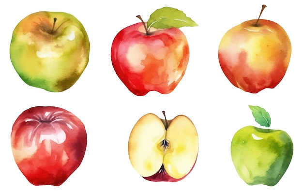 Establecer ilustración acuarela vectorial de manzana madura aislada sobre fondo blanco