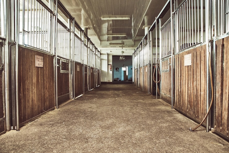 Foto estábulo de corridas de rancho equestre em paddock de cavalos