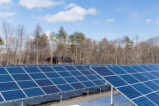 Estación de paneles de energía solar