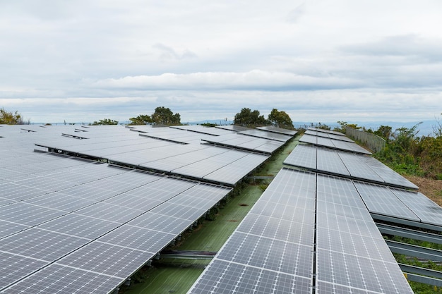 Estación de paneles solares