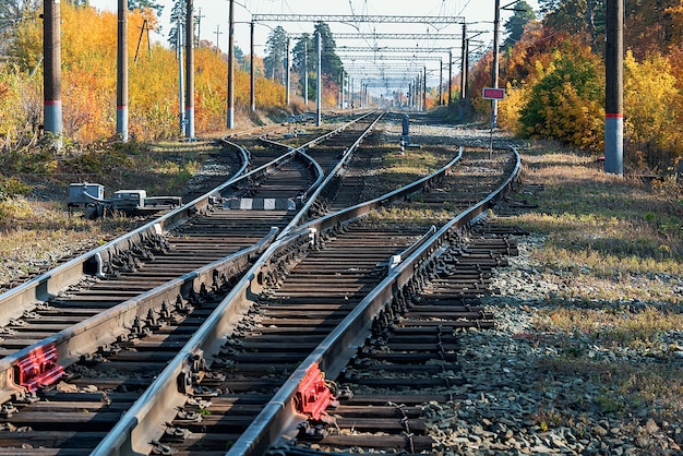 Estación de tren en un hermoso bosque otoñal con árboles coloridos.