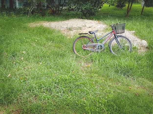 Estacionamento de bicicleta sujo velho no campo de grama verde