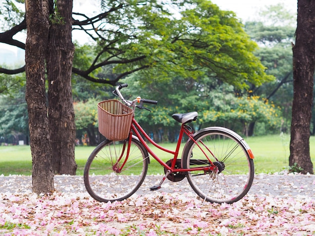 Estacionamento de bicicleta vintage vermelho na trilha