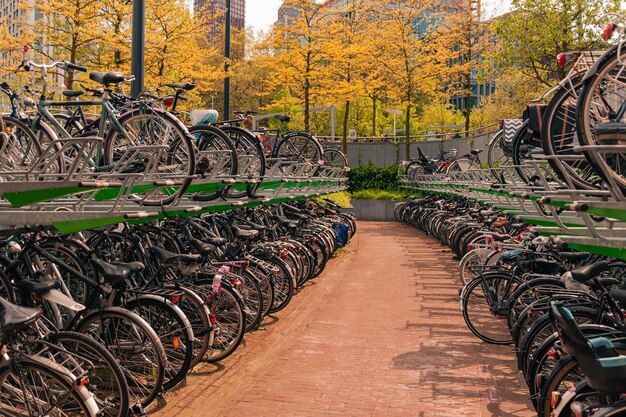 Foto estacionamento de bicicletas terminal na holanda amsterdã