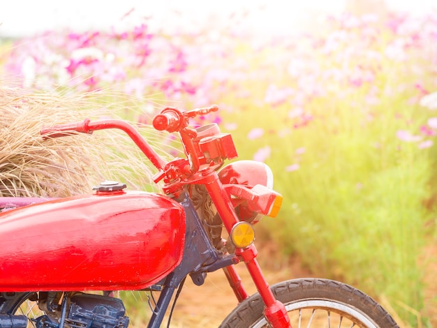 Estacionamiento de motocicletas en el campo de flores