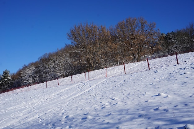 Estacione no inverno durante o dia