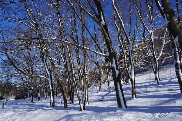 Estacione no inverno durante o dia