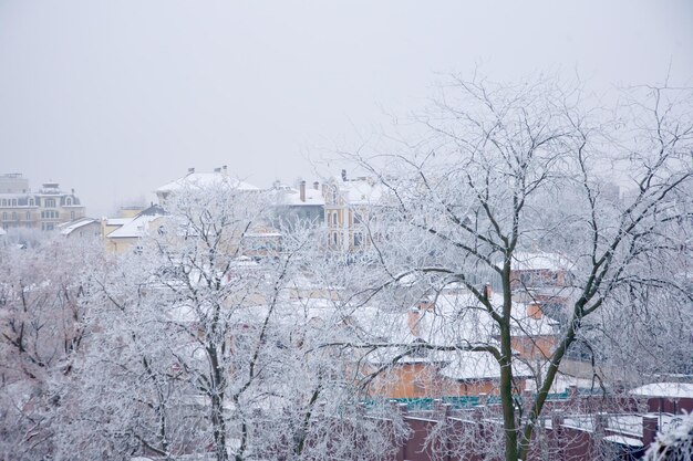 Estado de ánimo de invierno