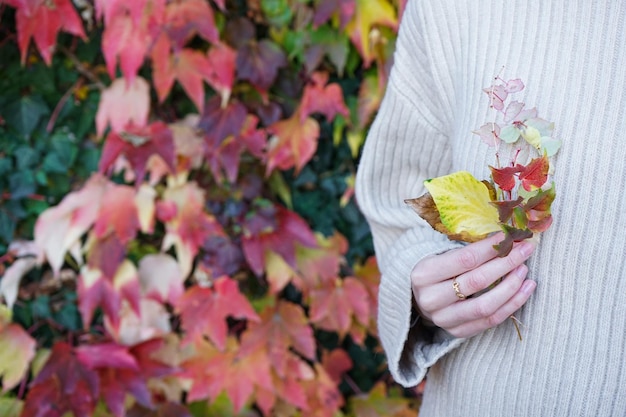 Estado de ánimo de otoño Mano de una mujer joven sosteniendo un espacio de hoja de otoño para texto