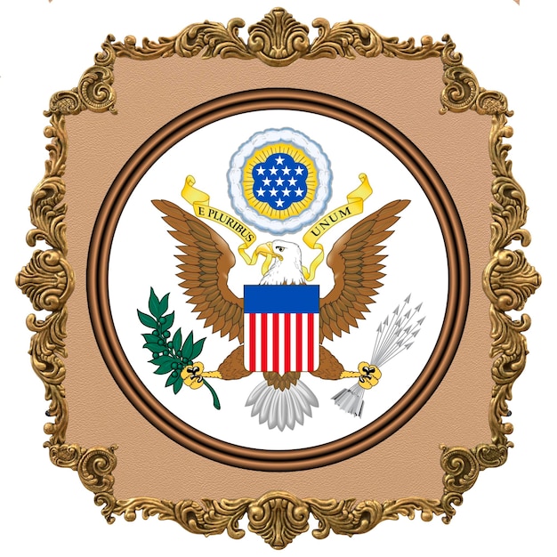 Foto estados unidos de américa ee.uu. emblema nacional día de la independencia nacional