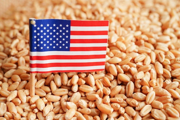 Estados Unidos de América sobre el concepto de exportación y economía del comercio de trigo de grano