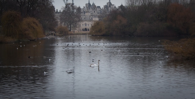 Estalagem do Lago St James