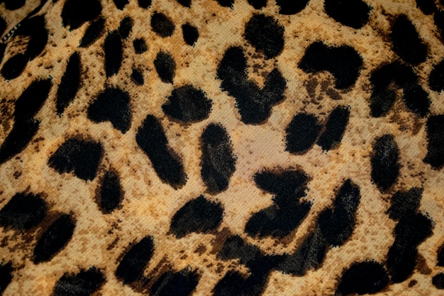 Estampado animal leopardo, textura de piel o fondo